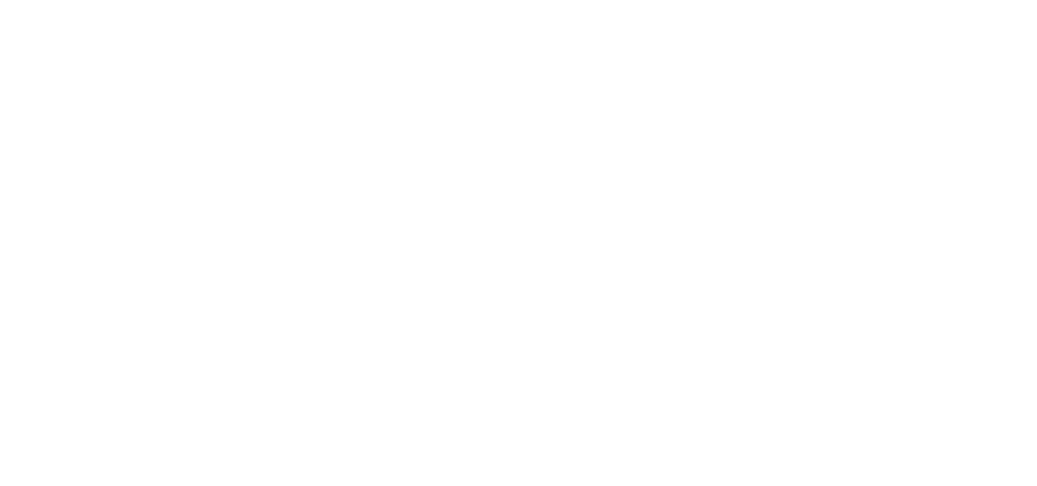 Bracon Perdizes